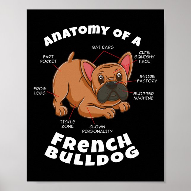Poster De um Bulldog Francês  (Frente)