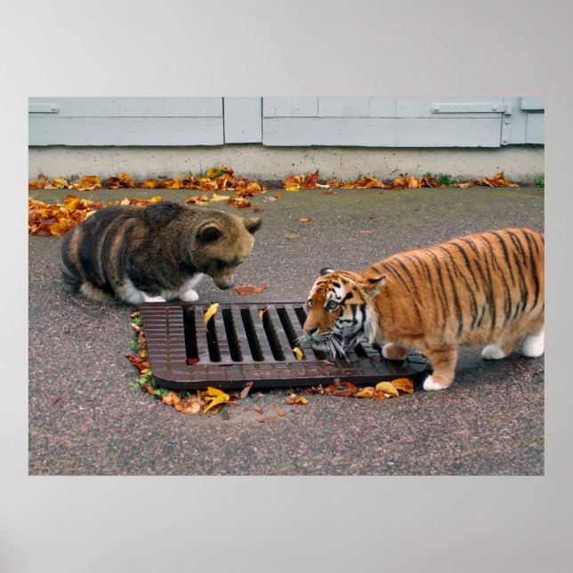 Poster de um buraco de água urbano (Frente)