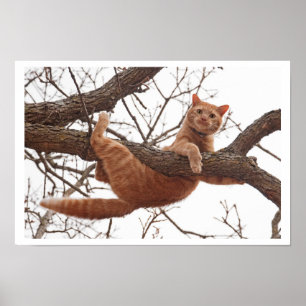 Poster de um gato aproximadamente a cair de uma