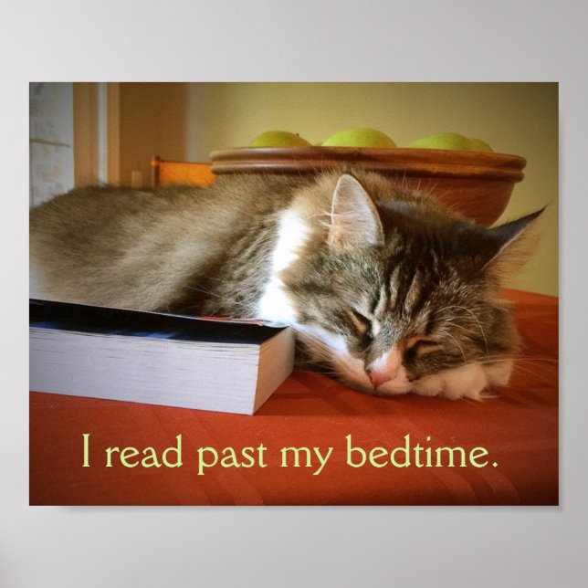 Poster de um leitor (Frente)