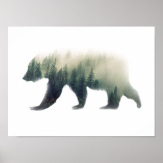Poster de Urso