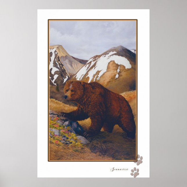 poster de urso pardo (Frente)