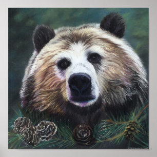 Poster de Urso Penso