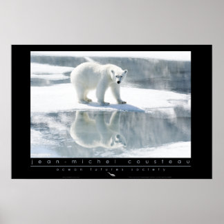 Poster de Urso Polar