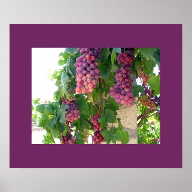 Poster de uvas (Frente)