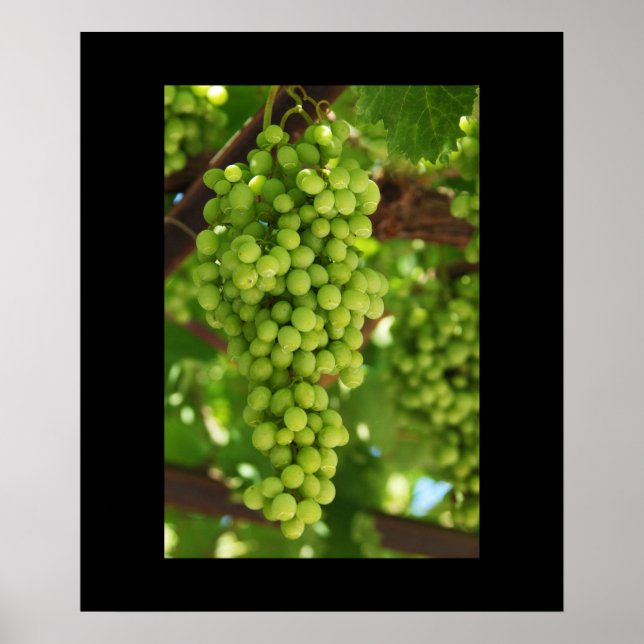Poster de uvas (Frente)