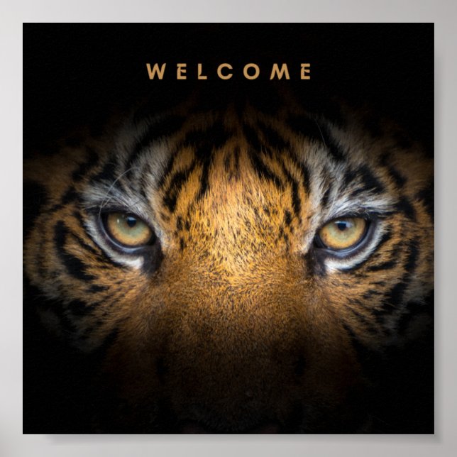 Poster de valor de boas-vindas (Frente)