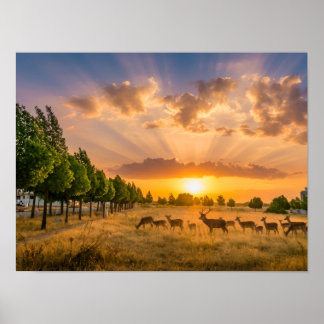 Poster de Veados ao Pôr do Sol Dourado - Manada de