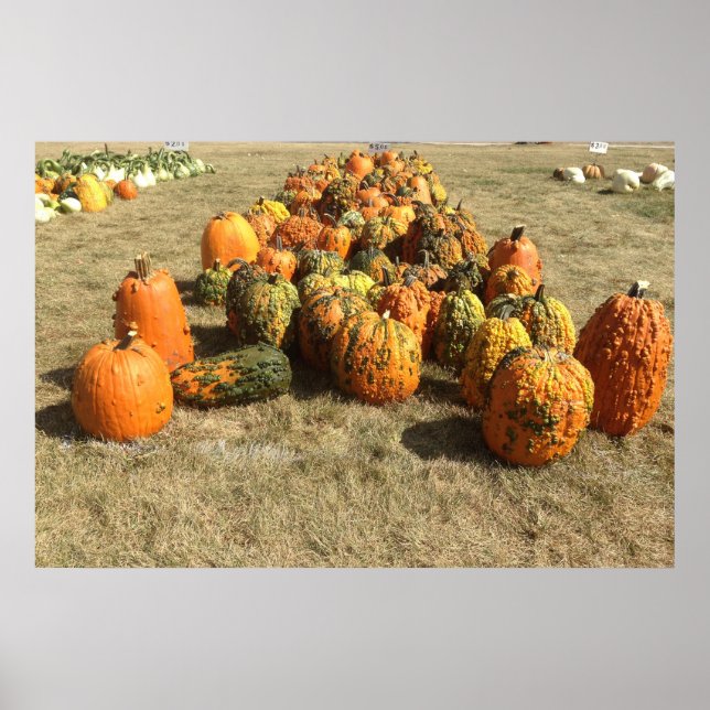 Poster de Venda de Bompkin de Queda (Frente)