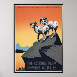 Poster de viagens de Ovinos das Montanhas do Parqu