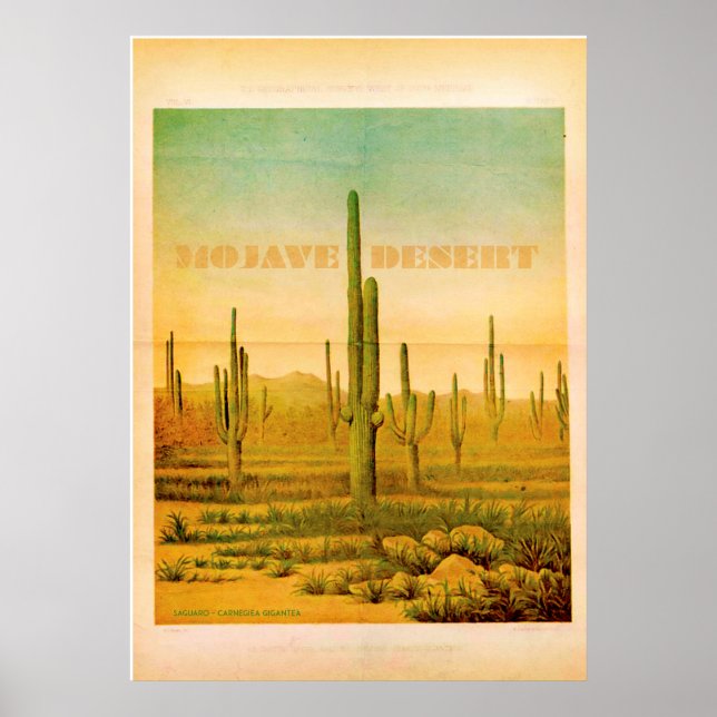 Poster de viagens do Deserto de Vintage Mojave (Frente)