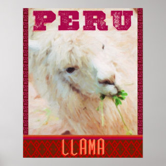 Poster de viagens do Peru - Lhamas do Peru