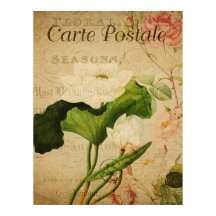 Poster de Vintage Botânica - Flor de Lotus