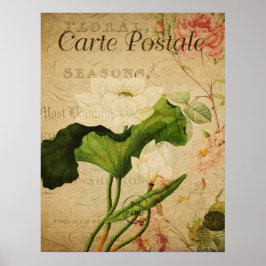 Poster de Vintage Botânica - Flor de Lotus