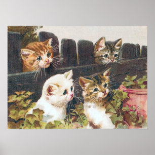 Pôster De "vintage quatro gatinhos"