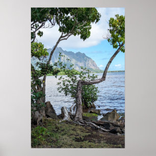 Poster de Vista Cênica da Costa do Havaí