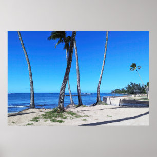 Poster de Vista Cênica da Costa do Havaí