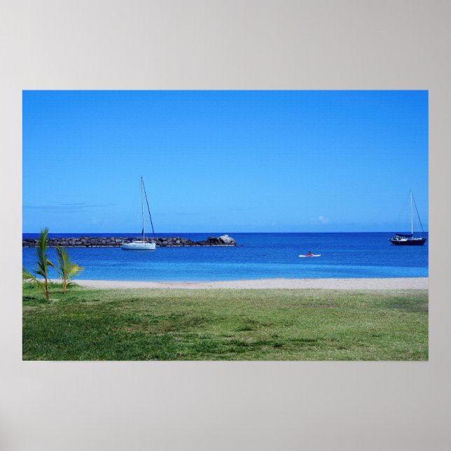 Poster de Vista Cênica da Costa do Havaí (Frente)