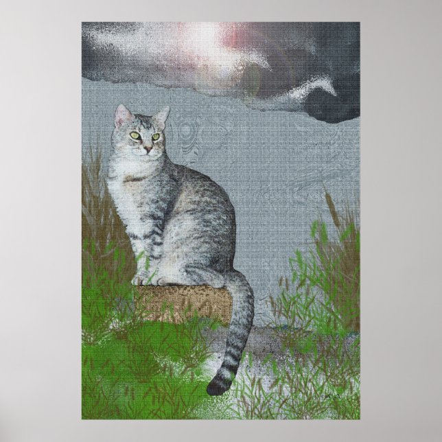 Poster De Volta À Natureza (Frente)