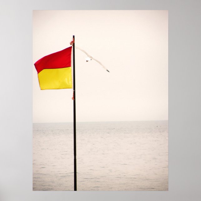 Poster de Voo Seguro (Frente)