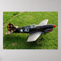 Poster de Warbird P-40