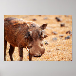 Poster de Warthog