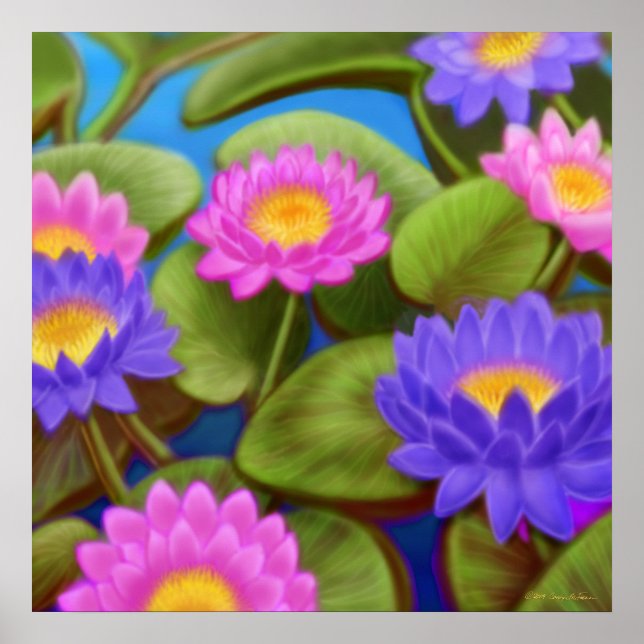 Poster de Waterlily Garden (Frente)