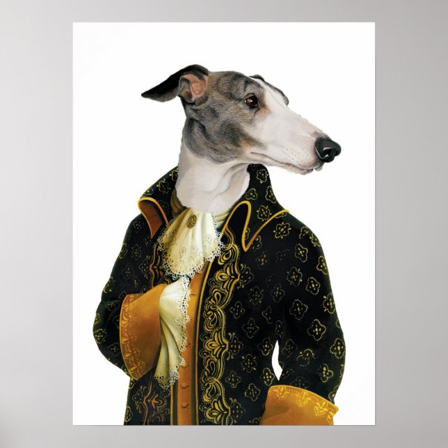 POSTER de Whippet DR220 (Frente)