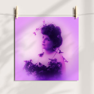 Poster de Whitlock Lilac