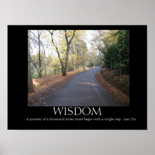 Poster de Wisdom Road