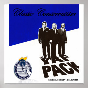Poster de YAF