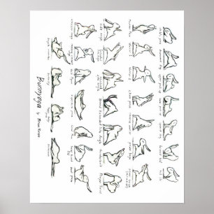 Poster de Yoga Bunny