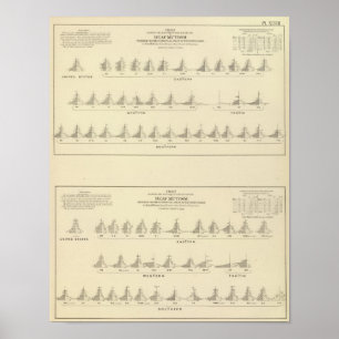 Poster Deaf and Mutism, Statistical US Lithograph