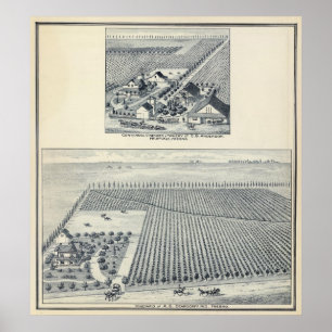 Poster Deardorff e vinhedos centenários, Califórnia