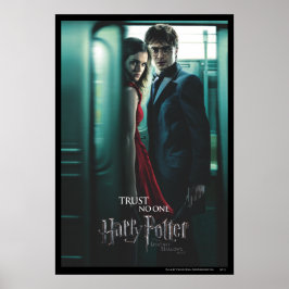 Pôster Deathly Hallows - Harry e Hermione