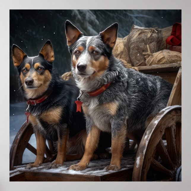 Poster Decado de Natal de Bovinos Neves Australianos (Frente)