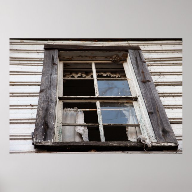 Pôster Decay de Rapunzel (Frente)