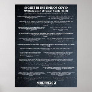 Poster Declaração Das Nações Unidas Sobre Os Direitos