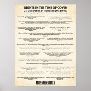 Poster Declaração Das Nações Unidas Sobre Os Direitos