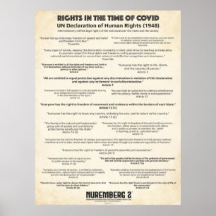 Poster Declaração Das Nações Unidas Sobre Os Direitos