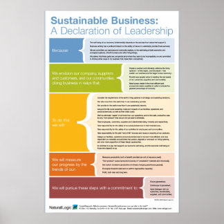 Poster Declaração de Liderança