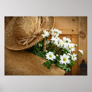 Pôster Decoração Artística para Casa e Negócios - Série d