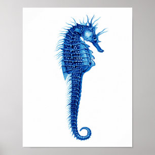 Poster Decoração azul da arte da parede da praia do