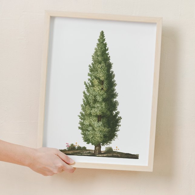 Poster Decoração da Floresta Natural de Carvalho (Nature Oak Tree Woodland Nursery Decor)