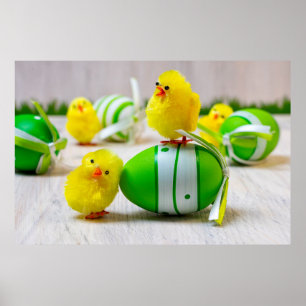 Poster Decoração da Páscoa - Ovos e pintinhos de Pásc