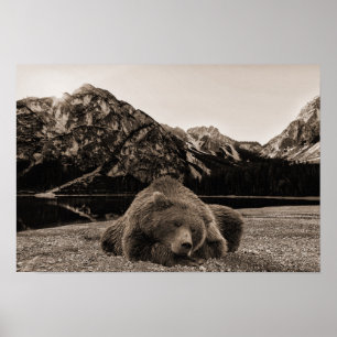 Poster Decoração de Cabana Rústica Urso Dormente Paisagem