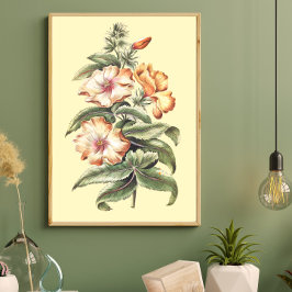 Poster decoração de casa de escritório de Hibisco Splendi