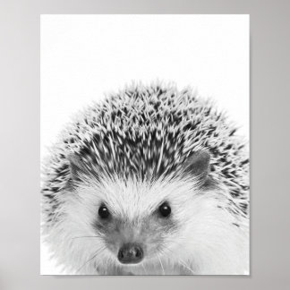 Poster Decoração de Hedgehog Woodland Kids Room