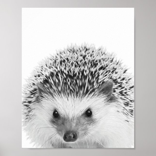 Poster Decoração de Hedgehog Woodland Kids Room (Frente)