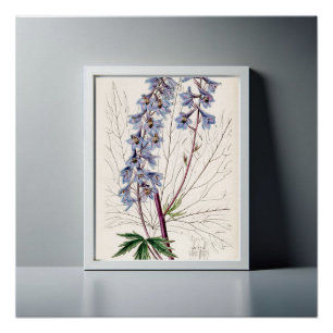 Pôster Decoração inicial do Trabalho de arte Delphinium G